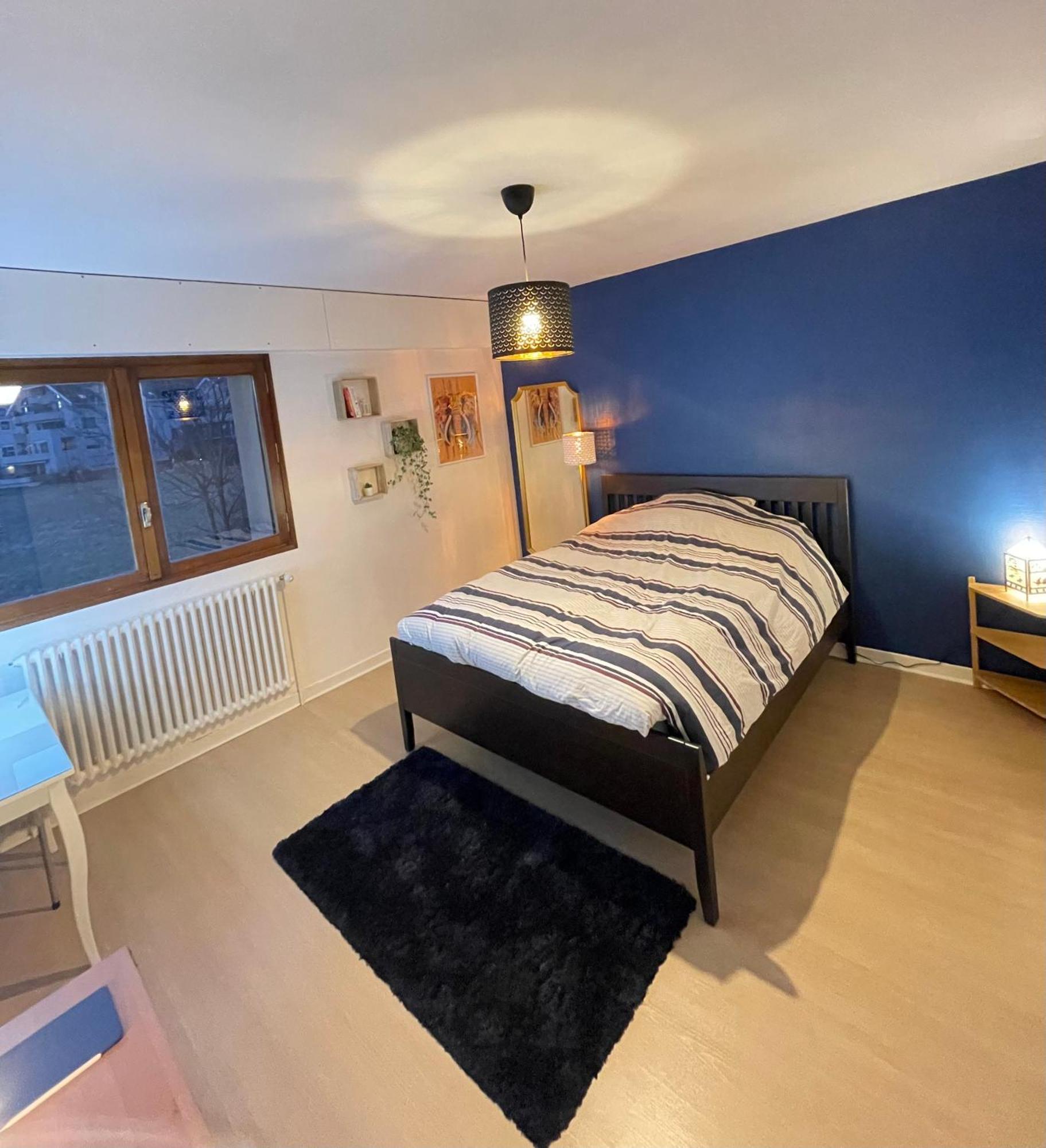 Appartement Tres Cosy A 5 Min Aeroport Geneve Ferney-Voltaire Luaran gambar