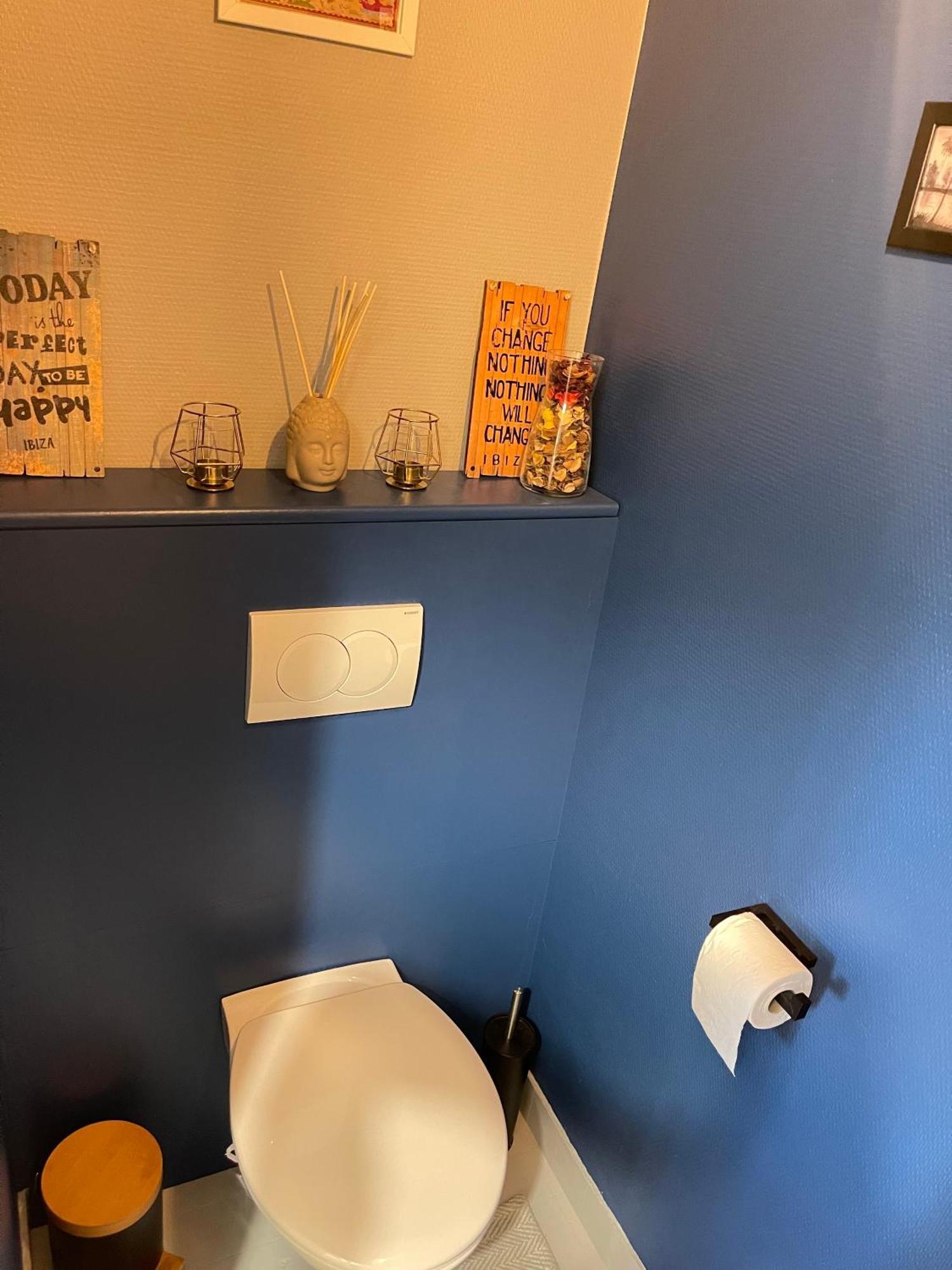 Appartement Tres Cosy A 5 Min Aeroport Geneve Ferney-Voltaire Luaran gambar