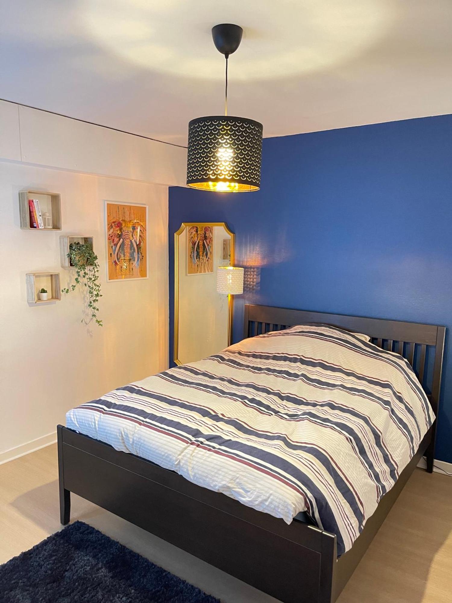 Appartement Tres Cosy A 5 Min Aeroport Geneve Ferney-Voltaire Luaran gambar